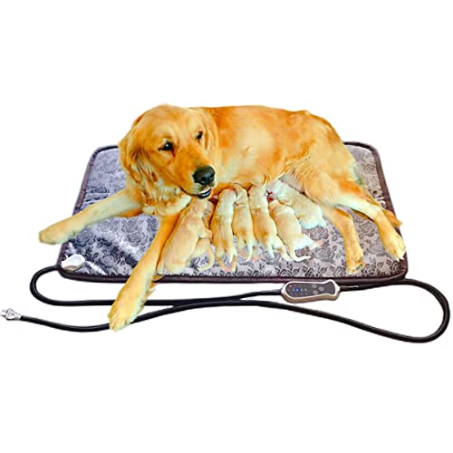 10 Best Heating Pad For Whelping Puppies