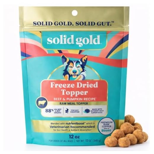 Solid Gold Freeze Dried Dog Food - W/Real Beef, Pumpkin & Superfoods - Freeze Dried Raw Dog Food Toppers for Picky Eaters to Serve as a Nutrient-Dense Meal Topper or High Protein Treats - 12oz