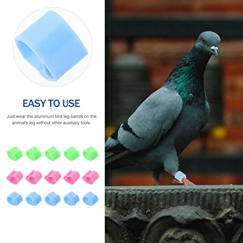 POPETPOP 20 Unidades Anel De Pé De Pombo Bandas De Perna Para Aves Anel De Pé De Abertura De Pombo A