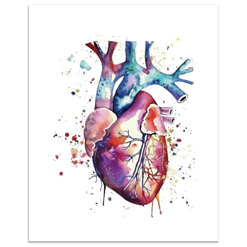 arricraft 1 póster de anatomía de corazón, impresión artística de pared de anatomía de ensueño sin marco, póster de órgano en acuarela para colgar en la pared, para médico, enfermera, cardiólogo,