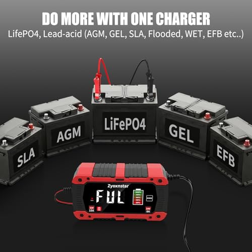 15A 12V/24V LiFePO4 Charger