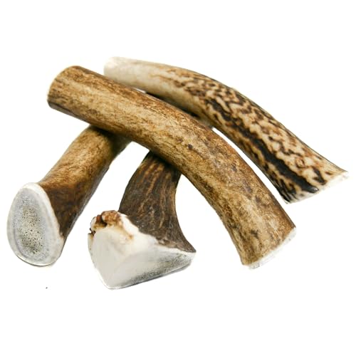 RF - Deer Set di Cervo per Cani 100% Naturale Osso di Cervo per Cani Masticativi Naturali, Giochi e Snack Bocconcino per Cane Taglia S HARD Version 5 Pezzi 155-250 g 8-10 cm