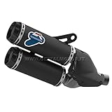 DUCATI MONSTER 1200 2014 14 TERMIGNONI AUSPUFF CARBON