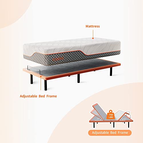 Image of ESHINE Adjustable Bed Frame with 12 inch Hybrid Mattress with Luxury Gel Memory Foam(Medium), Split King Upholstered Bed Frames with Massage, Wireless Remote, USB, Under Bed Night Light, Head /Foot Incline