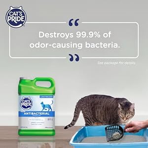 Cat's Pride Antibacterial Litter, Odor-Eliminating Scented 12lb — photo 5 of 6
