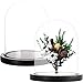 ZOOFOX Set of 2 Glass Dome Cloche with Black Wooden Base, 6