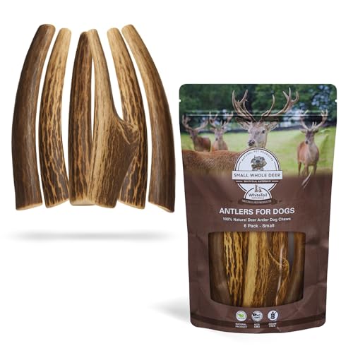 WhiteTail Naturals Antlers for Dogs (6 Pack) Deer Antler Dog Chew Bones for Small Aggressive Chewers - Long Lasting Whole Antlers - Hand Trimmed & Naturally Shed