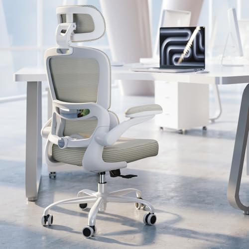 Image of TRALT Ergonomic Office Chair Desk Chair with Adjustable Lumbar Support