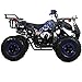 X-PRO 125cc ATV 4 Wheels Quad 125 ATV Quads with LED Lights, Big 19