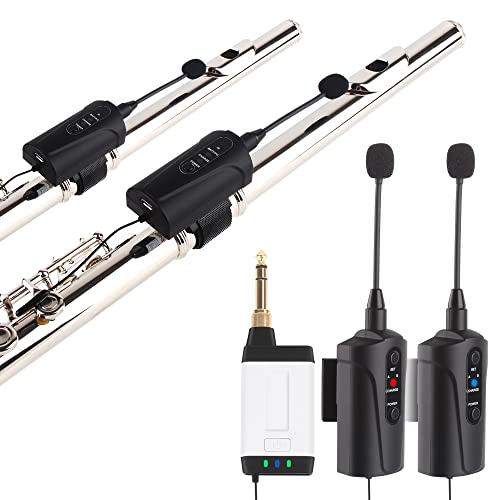 Capturing the Perfect Sound How to Choose the Best Microphone for Your