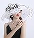 ORIDOOR Women Hats Headband Hairpin Organza Fascinator Church Derby Hat Floral Tea Party Wedding Hat (013B White) One Size …
