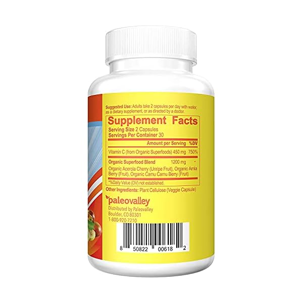 Paleovalley-Essential-C-Complex-Vitamin-C-Food-Supplement-with-Organic-Superfoods-for-Immune-Support-6-Pack-450-mg-per-Serving-No-Synthetic-Ascorbic-Acid-No-GMO-Fillers-or-Gluten Paleovalley Essential C Complex - Vitamin C Supplement for Immune Support - 6 Pack, 450mg - From Organic Superfoods Unripe Acerola Cherry, Camu Camu, Amla Berry - No Synthetic Ascorbic Acid - USA Made