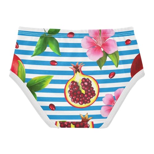 Cotton Toddler Girls Underwear Blue Stripe Pomegranate Floral Fruits Panties for Girl Animal Undies Kids Briefs 2t2