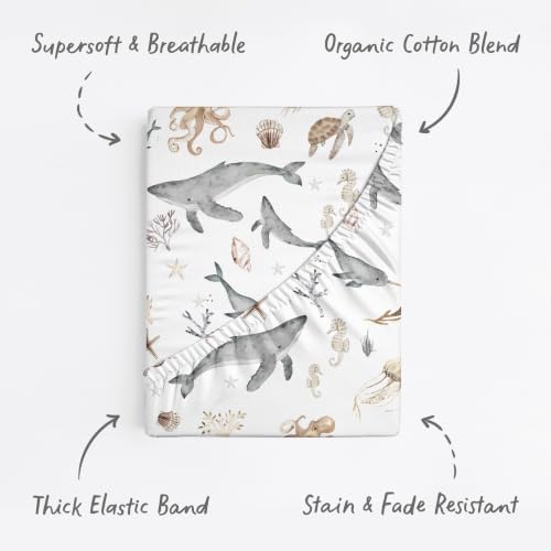 Image of Baby Bassinet Sheets for Boy, Girl (Ocean Odyssey) 2-Pack - Fitted Bedside Bassinet Sheets - Buttery Soft Cotton Blend for Standard Mattress Pad - Compatible with Halo BassiNest