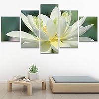 SIGNWIN 5 Panel Canvas Wall Art White Fields for Home Decorations Ready to Hang - 60