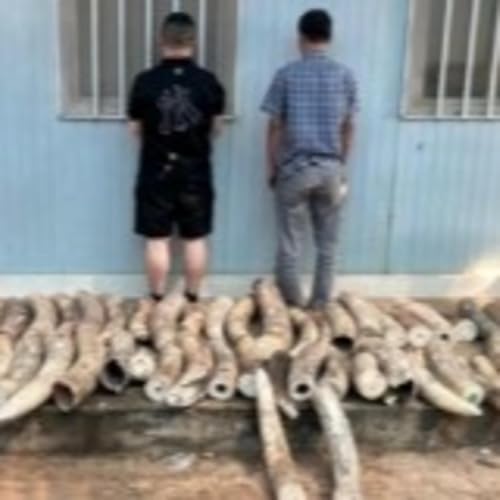 The FiremanRich Audio/Podcast: Morning Coffee 🌄☕ 012.18.2024🎙️🔊 @spotifycreator @rumblevideo 🎥🎬