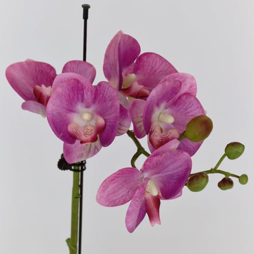 Orchidée artificielle violette double tige pot céramique blanche - 3