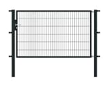 GAH-Alberts 647766 Flexo - Porta singola con accessori, diverse larghezze e e altezze, disponibile in diversi colori, larghezza 200 cm, altezza 120 cm