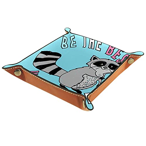 Vanity Tray, Toilet Tank Storage Tray, Resin Bathtub Tray Bathroom Tray, Be The Best You Can Be Raccoon