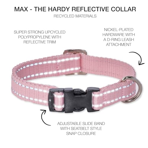 Pet Passion Adjustable Reflective Dog Pet Collar for Small, Medium and Large Dogs, Pink, X-Small