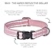 Pet Passion Adjustable Reflective Dog Pet Collar for Small, Medium and Large Dogs, Pink, X-Small