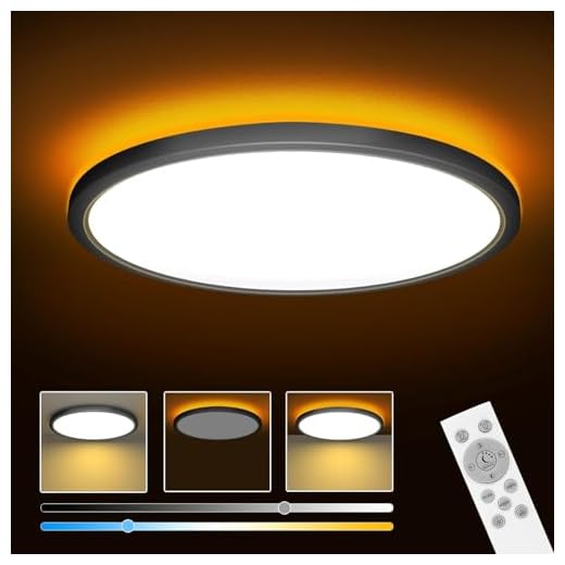 ELEPHANTBOAT® 12" Dimmable LED Ceiling Light with Remote Control, 24 W 3-Color Ceiling Light with Dim Night Light 1800k Warm, Round Flush LED Ceiling Lights for Living Room, Bedroom, Office (Black)