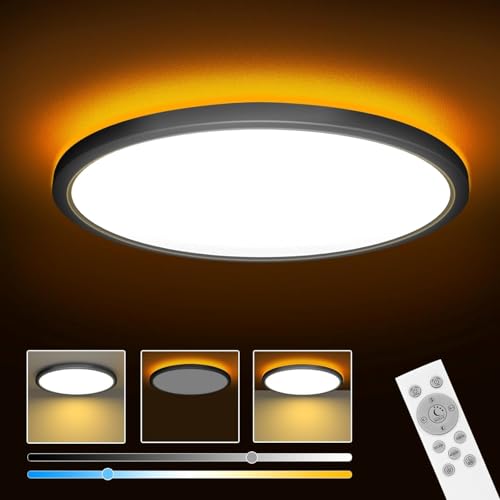 ELEPHANTBOAT® 12" LED Ceiling Light 24W Dimmable 3-Color Remote
