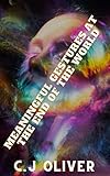  Meaningful Gestures At The End Of The World: A Search (English Edition)