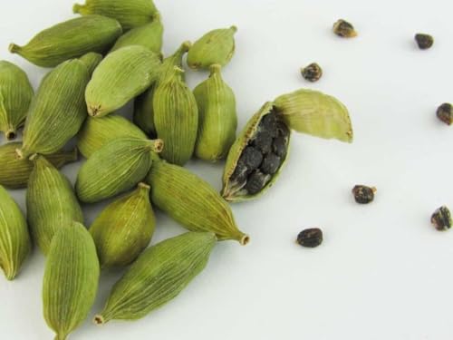 Image of Elaichi Cardamom Plant Live | Aromatic Herbal Spice Plant for Balcony, Terrace & Home Garden | Easy Grow Evergreen Plant (PACK OF 2) NOT IN A POT