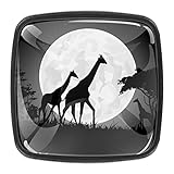 Juego de 4 pomos de cocina con diseño de jirafa con luna gigante para armarios de oficina, baño, armario, armario, armario, 4 unidades