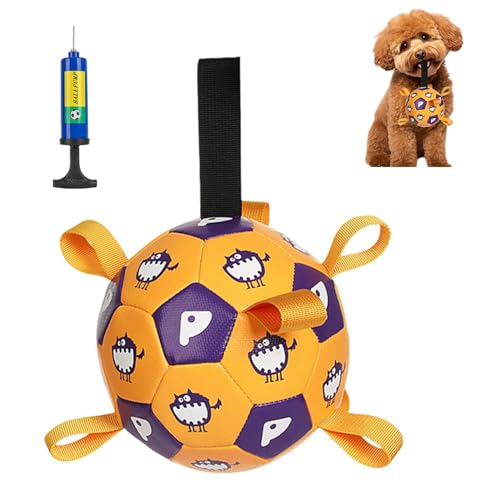 Lifetips�^�C�j�[�v�[�h���iTiny Poodle�j�� �������� �T�b�J�[�{�[�� ���� �������� ������ �^�� �X�g���X ���� �y�b�g �p �{�[�� �y�� �^�O �t�� �� �e�� ��v �� �� ���� ���O ���� ���V�� �Ή� �g���[�j���O �^�� �s�� ��