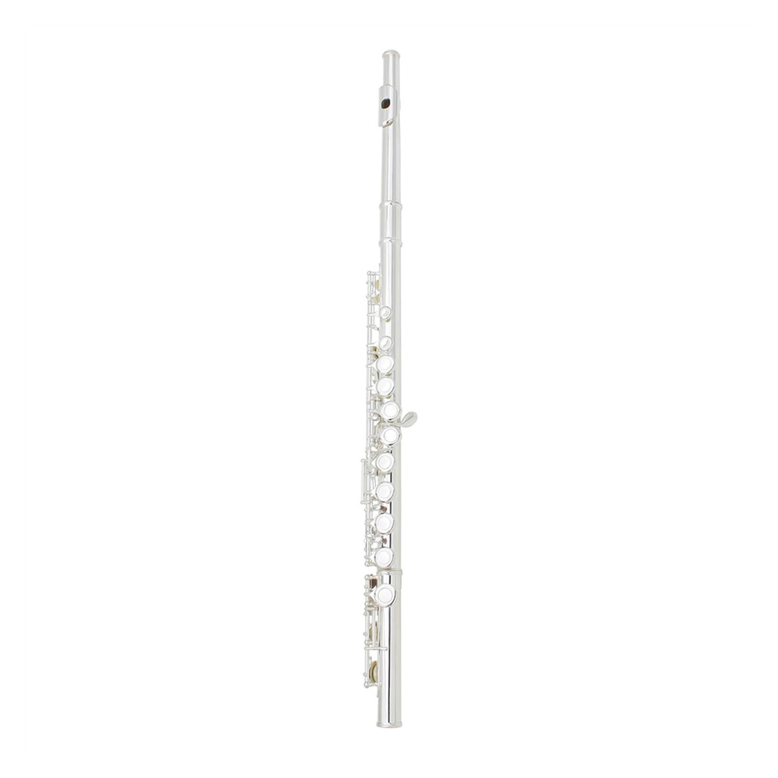 Flauta Flauta plateada Flauta C-Tune de 16 agujeros con caja de cuero Bolsa para flauta Accesorios para instrumentos musicales Kit de limpieza