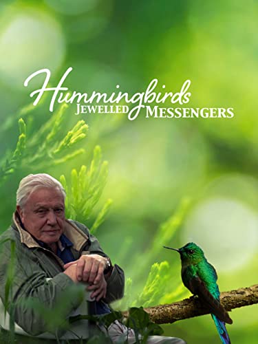 Hummingbirds: Jewelled Messengers