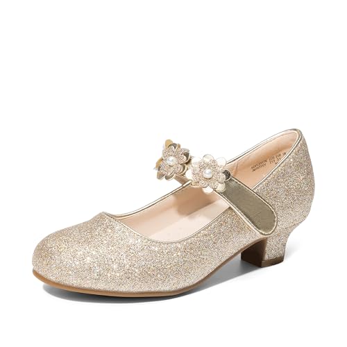 DREAM PAIRS Girls Mary Jane Dress Shoes Pumps Low Heels Flower Party Wedding Princess 12 Little Kid Light Gold