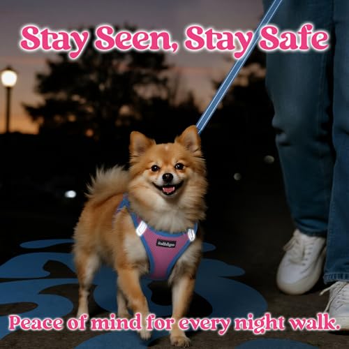 rabbitgoo Dog Harness Small Sized and Leash Set, Step-in Breathable Pet Harness, Soft Walking Reflective Puppy Vest for Small Dogs, Pink & Light Blue, L by rabbitgoo - Image 5