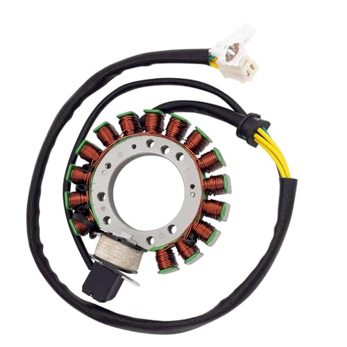 Stator Magnéto de Moto Haute Performance pour Yamaha Warrior 350 Allumage Bobine 3HN-85510-10-00