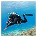 Metal Detector Waterproof Pointer Metal Detector Underwater 15m Pulse Pinpointer Induction Dive Metal Detecting,for Treasure Finder(Orange)