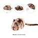 Gigwi Chirpy Cat Squeak Toy - Interactive Mouse Cat Toy with Melody Chaser for Kitten Play and Boredom Relief