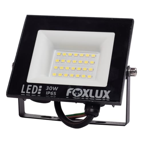 Foxlux Refletor LED 30W 6500K Preto Bivolt