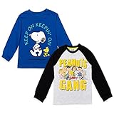 Peanuts Snoopy Charlie Brown and Friends Toddler Boys 2 Pack T-Shirt Blue/Grey 3T