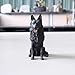 Collectible Figurine Statue Desktop Ornament for Home Office Decor, Statues Decoration Articles & Figure Sculptures Figures tion Shepherd Model Wolf Dog Black Back Car Decoration Resin Craft Decoratio