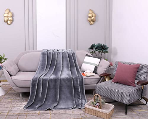 La Maison Soft Faux Velvet Luxury Mink Blanket Super Soft Throw Over Sofa Bed Blanket Large 150cm x 200cm Double (Silver)
