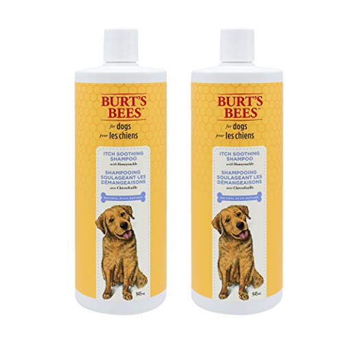 Burt's Bees for Dogs Natural Itch Soothing Shampoo with Honeysuckle | Anti-Itch Dog Shampoo for All Dogs with Dry, Itchy, Sensitive Skin | pH Balanced for Dogs - Made in the USA, 32 Ounces - Pack of 2