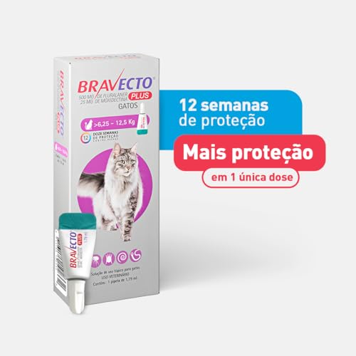 Bravecto Plus Antipulgas e Carrapatos Gatos 6,25 a 12,5 Kg