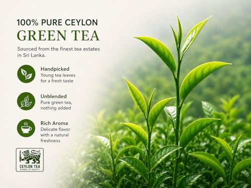 Té verde suelto Ceylon 500g miniatura 5