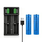 3.7 USB Battery Charger with 2 Pack 3,7 2200mAh Button Top Battery Ni-MH, 2 Bay LCD Display Smart Universal...
