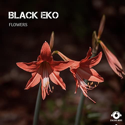 Flowers by Black Eko on Amazon Music Unlimited