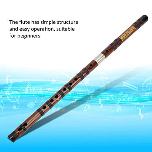 Flauta de bambu, kit Dizi de letras D - Instrumento de vento tradicional chinês com membrana de flau