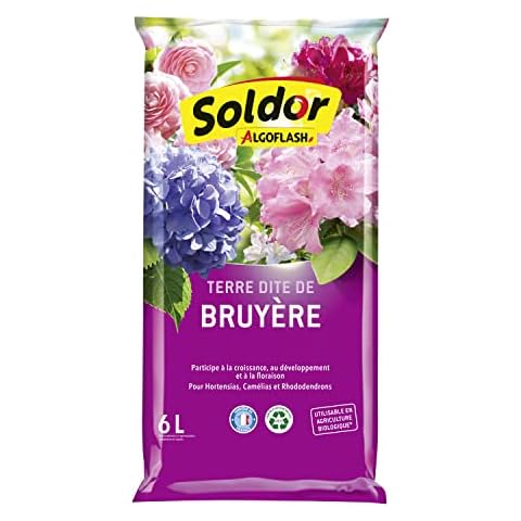 Algoflash Terre Dite de Bruyère 6 L Cover