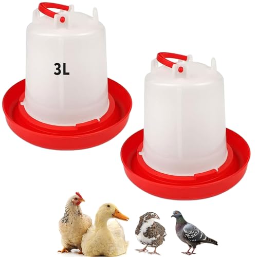 Lot de 2 abreuvoirs à Poulet de 3 L – Ensemble...